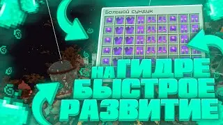 😱КАК БЫСТРО РАЗВИТЬСЯ НА ГИДРЕ? -||- РАЗВИТИЕ НА ГИДРЕ #3 -||- SunRise