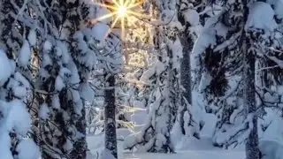Нина Бродская - Русская зима