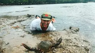 12 Hour Hunting Mud Crabs Challenge - How Many Crabs Can I Catch?