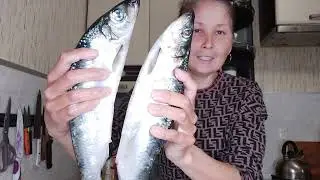 Сходила за черемшой. Моя селедка лучше любой консервы..