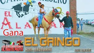 13.-El Gringo vs El Chapulín