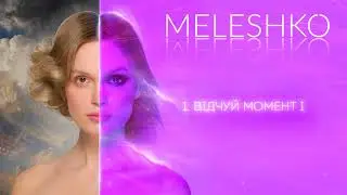 MELESHKO - Відчуй момент І (official audio)