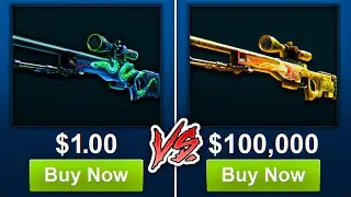 $1 vs $100,000 CS2 Skin!