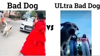 BAD DOG VS ULTRA BAD DOG #viral #trending #shorts