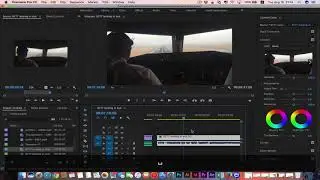 Adobe Premiere pro Basics of editing trims, duplicates, warp stabilizer & more