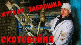 🐃 A creepy abandoned place. Rosenau slaughterhouse. Kaliningrad meat processing plant.