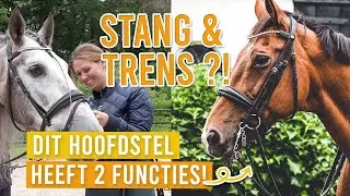 RIJDEN WIJ MET STANG EN TRENS?! Combinatie hoofdstel uitleggen || Stuebben