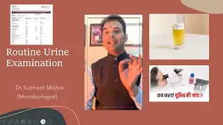 The Science Behind Urine Analysis: Explained