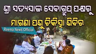 ଶ୍ରୀ ସତ୍ୟସାଇ ସେବାଗ୍ରୁପ୍ ପକ୍ଷରୁ ମାଗଣା ପଶୁ ଚିକିତ୍ସା ଶିବିର | SRI SATYASAI SEVA GROUP'S VETERINARY CAMP