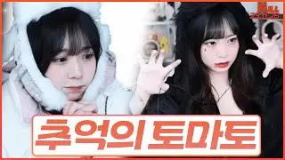 과거부터 지금의 토마토 까지..!