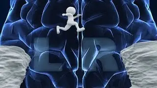 Whole Brain Thinking