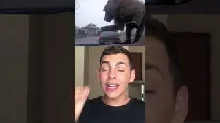 FOTOS QUE VOCÊ PRECISAR OLHAR DUAS VEZES! 