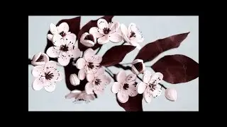 Cherry Flower Quilling - Fleurs de cerisier en quilling