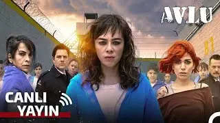 Avlu Tüm Bölümler 7/24 