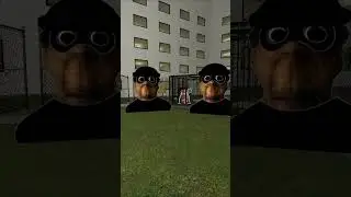 Escape Nextbots Banana Cat, Rosalia, Obunga And My Name Is Aughhhh #gmod