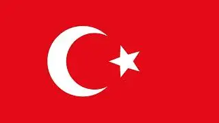 Flag Transition 9