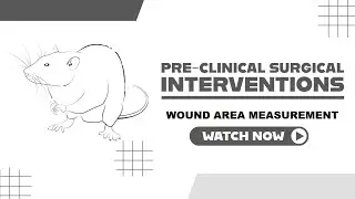 How to measure a wound area using ImageJ software?