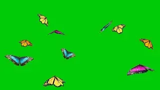 Spring Butterflies greenscreen