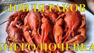 ЛОВЛЯ РАКОВ/ОЗЕРО/НОЧЕВКА