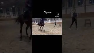 Прогресс с кобылой очевиден, но всегда хочется большего )Впереди еще много работы! 
