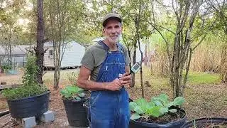 Are Your Plants Struggling? Learn about EC today