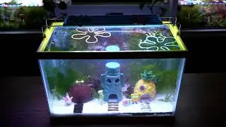 I Built Bikini Bottom in a Fish Tank