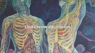mitski-my love mine all mine türkçe çeviri