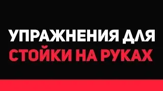 3 УПРАЖНЕНИЯ ДЛЯ СТОЙКИ НА РУКАХ!\workout/