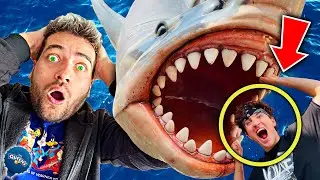 ПРАНК❗️АНДИ ГО УХАПА АКУЛА