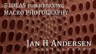 5 IDEAS for relaxing MACRO PHOTOGRAPHY