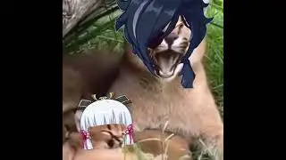 Kaeya and Ayaka (floppa meme)