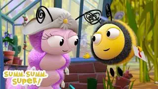 Buzzbee's Lessons, Secrets and More! 🐝✨ | 30 Minute Full Episodes | 🍯 Buzz, Buzz, Super!
