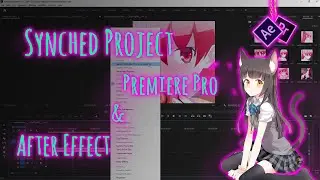 Edit in Both Premiere Pro & After Effect | Synched Project