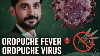 Oropouche Fever | Oropouche Virus | MLT Hub with kamran
