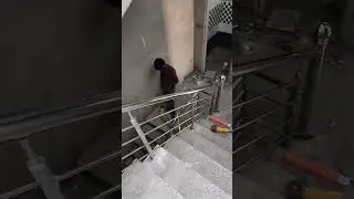 steelness stairs railing installation process#shortvideo #song #railing