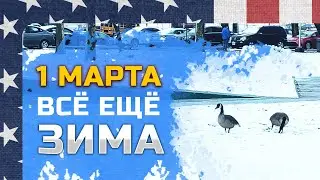 Почему весна не наступает 1 марта в США?