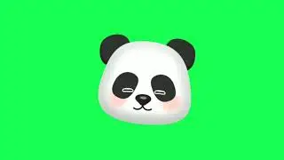 Panda Bear , Green Screen  🐼 ❤