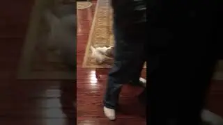 IMG 0728