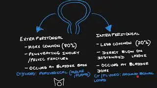 Urinary bladder rupture