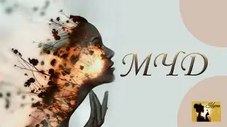 Мысли, чувства и действия ЗП в ЗС