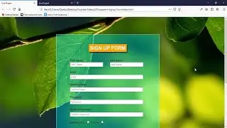 Transparent signup form html css with source code