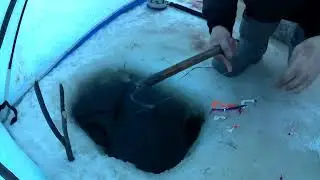 рыбалка на амуре 7.12.23