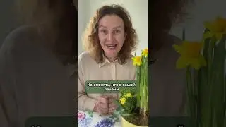 Здоровая печень: Бесплатный вебинар:https://school.avocado.green/health_organism