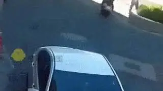 funny video