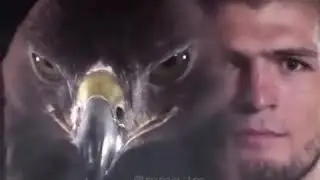 Хабиб Нурмагомедов💪