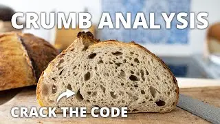 7 Sourdough Mistakes to Avoid by Reading Your Crumb