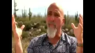 Что мы знаем! Вниз по Кроличьей Норе