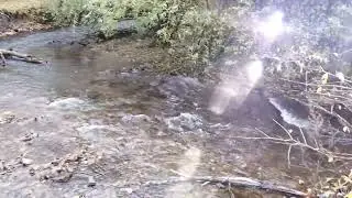 Большехехцирский заповедник
