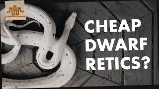 Dwarf Retics on a BUDGET? THE SUPERDWARF SHOW