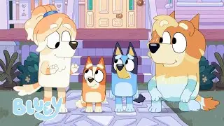 🔴EN VIVO: Tarde de relax en familia | episodios completos | Bluey